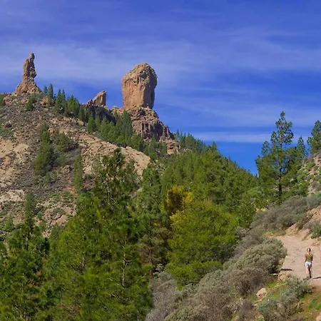 Aquarium Private Jacuzzi, 3 Bedrooms, Ac And Bikes Appartement