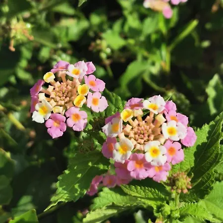 Aquarium Private Jacuzzi, 3 Bedrooms, Ac And Bikes Appartement Maspalomas (Gran Canaria)